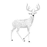 Christmas Deer N17