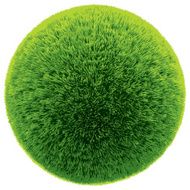 Grass ball N2