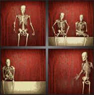 vector skeleton on the wall collection N4