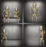 vector skeleton on the wall collection N5