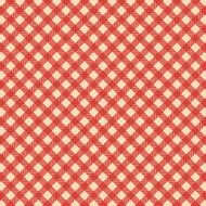 Checked seamless pattern N53