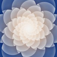 Textured paper with lotus floral pattern