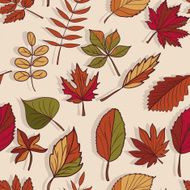 pattern of autumn leaves N8