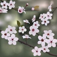 Card design flower tree