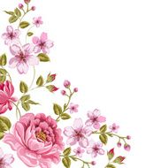 Luxurious color peony background N3