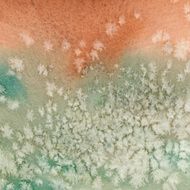 Rust and green snowflake texture on paper