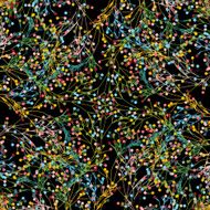 abstract colorful plant pattern background N4