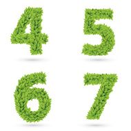 Numbers of green leaves collection