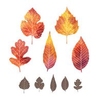 Set of watercolor leaves N3