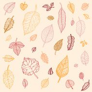 Autumn leaves set N4