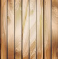 Wall panels with wood detailed texture