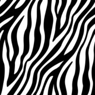 Zebra Stripes Seamless Pattern