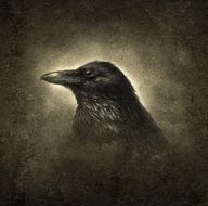 Raven N8