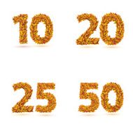 Numbers of autumn leaves collection