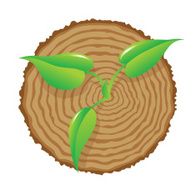 Tree stump and green plant shoot vector N2