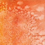 Blooming frosty orange background