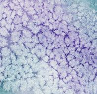 Purple blue snowy texture background N2