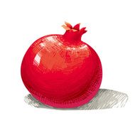 Pomegranate N9