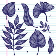 Hand-Drawn Leaves on Paper