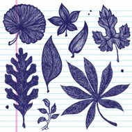 Hand-Drawn Leaves on Paper N2