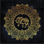 Paisley mandala with elephant inside N5