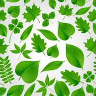 natural green beautiful leaves icon seamless fall pattern eps10 N2