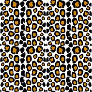 leopard pattern N33