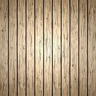 Vector wood plank background N9