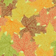 Autumn seamless pattern N105