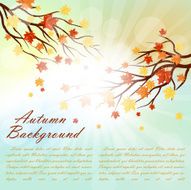 Autumn Frame N66