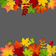 Autumn maple leaves frame on dark background vector illustratio