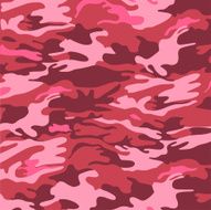 Military camouflage background N2