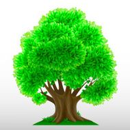 Tree with green leaves N2