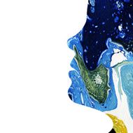 Abstract female head N2
