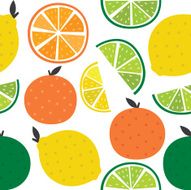 Seamless background with citrus fruits Vector illustration N2