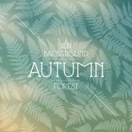Autumn forest background