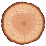 Annual Rings Heart Shaped Nature Love Symbol