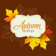 Autumn typographic Fall leaf Vector illustration N22