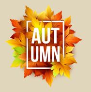 Autumn typographic Fall leaf Vector illustration N23
