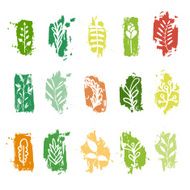 Set of plant elements on a background grange texture