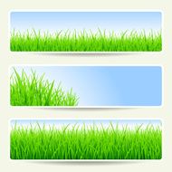 Summer banners N4
