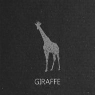 giraffe on the black cardboard background N2
