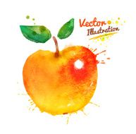 Watercolor apple