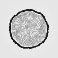 vector tree rings background and saw cut trunk N2