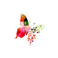 Colorful butterfly design