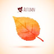 Autumn orange watercolor leaf icon N2