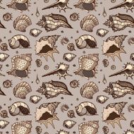 Seamless pattern of Sea shells N23