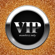 Gold and silver VIP vector illustration on glitter N2
