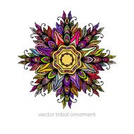 Mandala Ethnic decorative elements Vector illustration N12