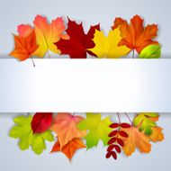 Bacground with olorful autumn leaves and place for text